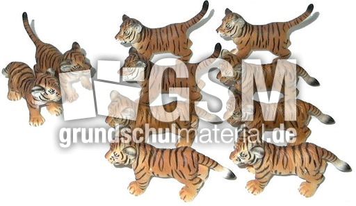Tiger-2+8.jpg